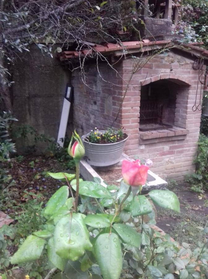 Casa Patti Alle Porte Di Siena Zewnętrze zdjęcie