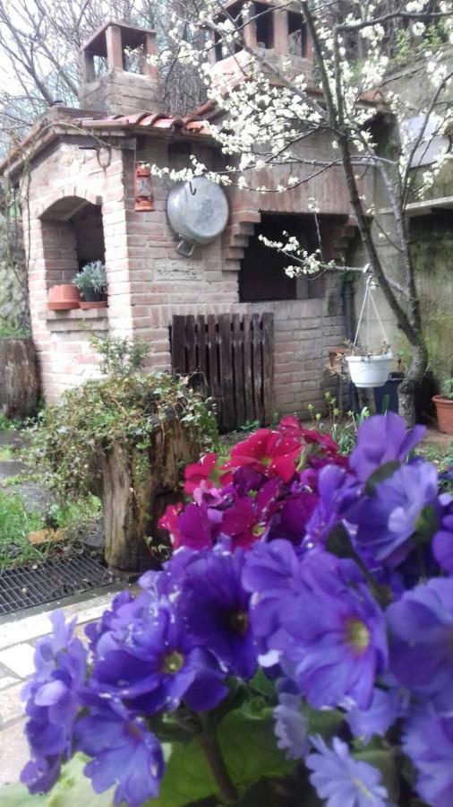 Casa Patti Alle Porte Di Siena Zewnętrze zdjęcie