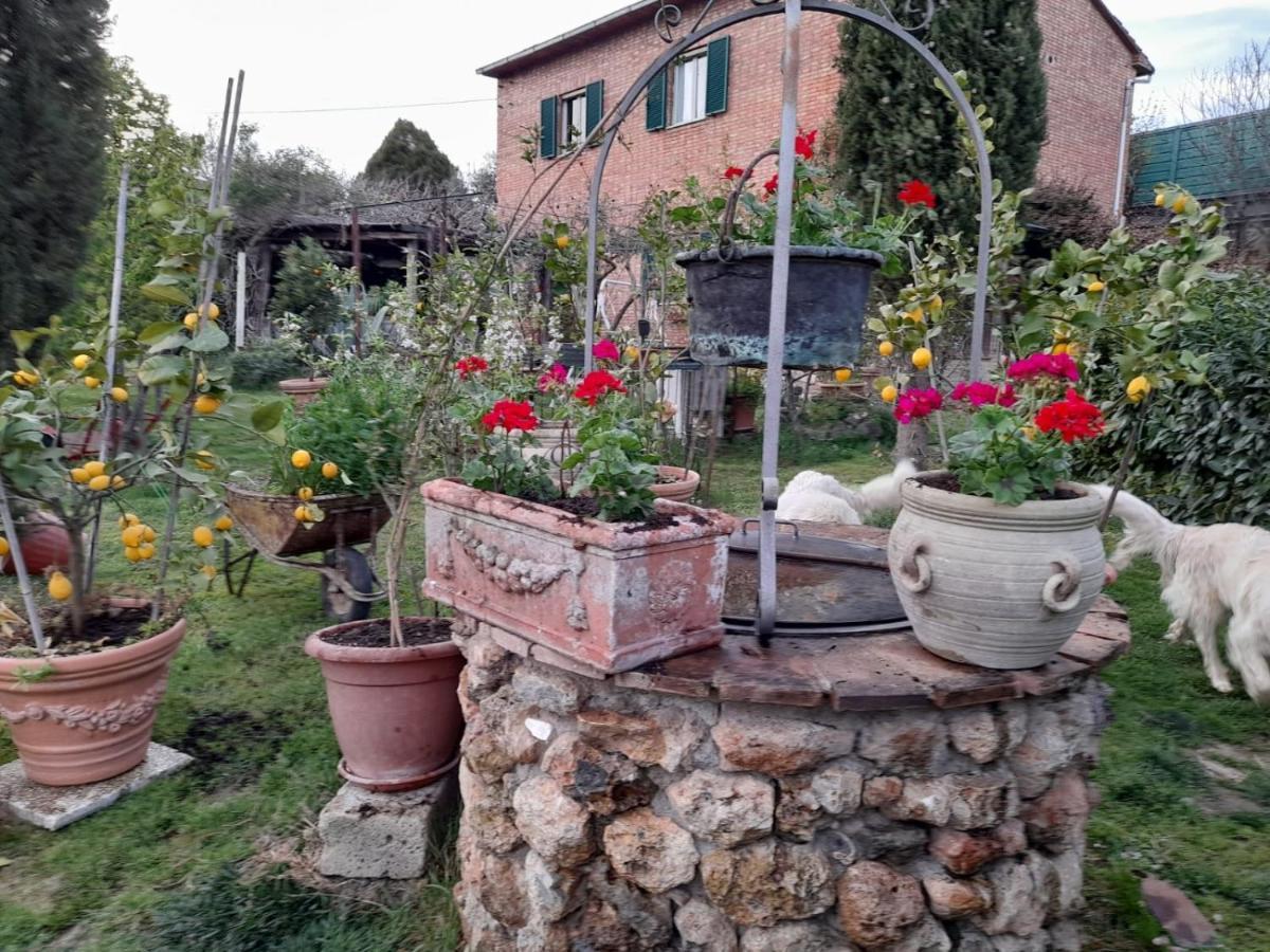 Casa Patti Alle Porte Di Siena Zewnętrze zdjęcie