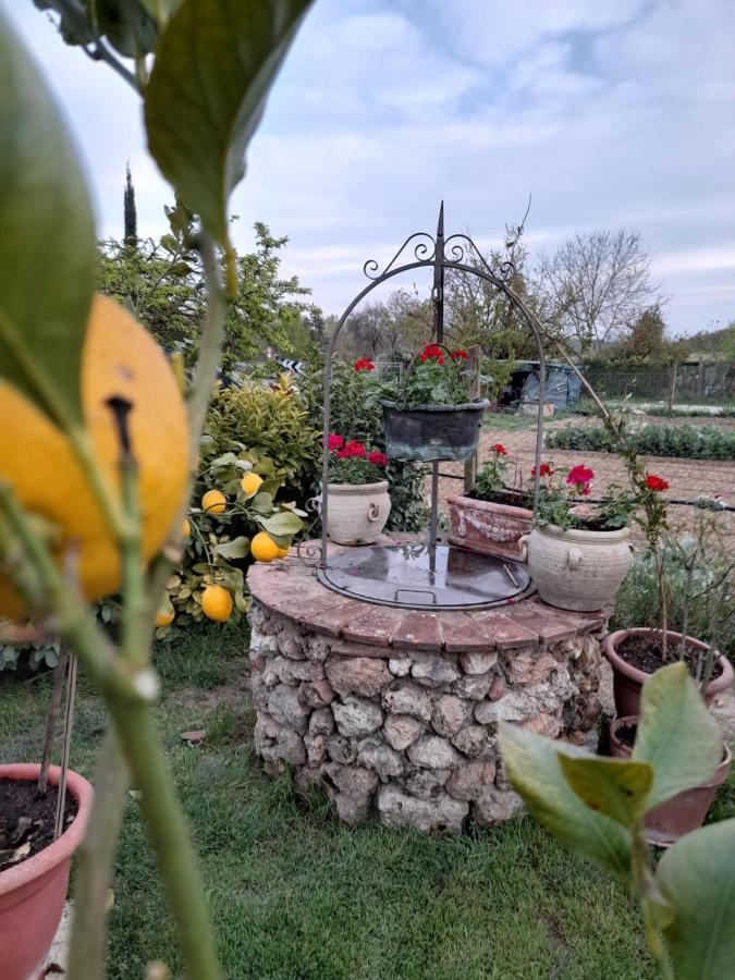 Casa Patti Alle Porte Di Siena Zewnętrze zdjęcie